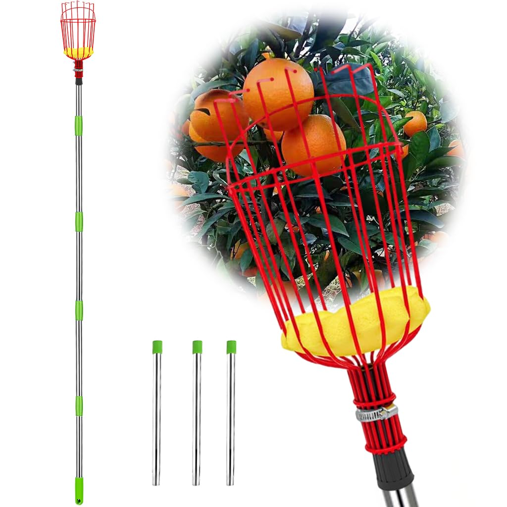 HASTHIP 320cm Fruit Picker with Basket and Telescopic Pole, Fruit Plucker for Coconut, Mango and More, Easy to Use Fruits Catcher Tree Picker HASTHIP 320cm Fruit Picker with Basket and Telescopic Pole, Fruit Plucker for Coconut, Mango and More, Easy to Use Fruits Catcher Tree Picker